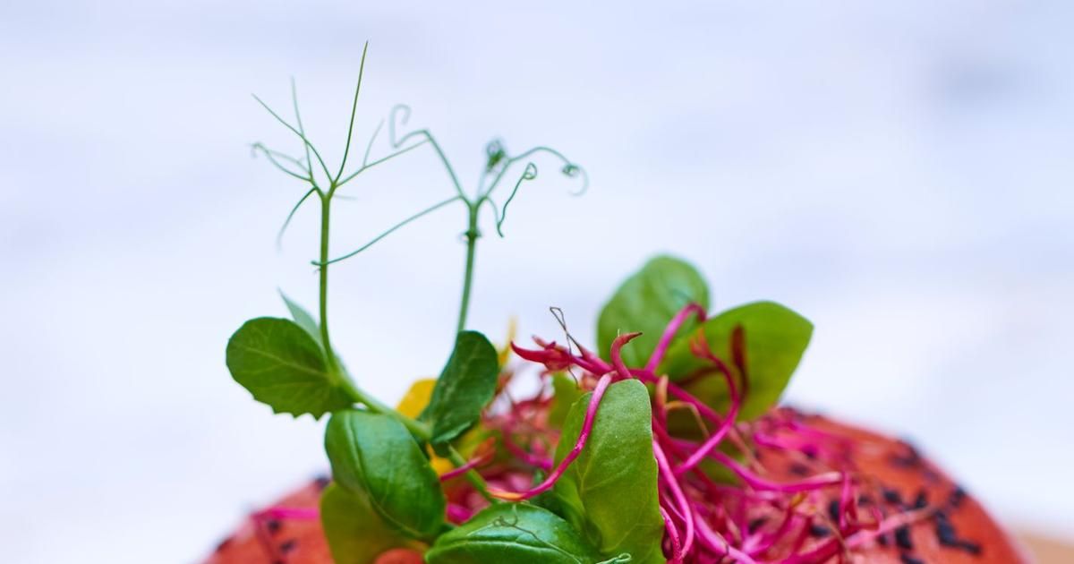 Brooklyn s'invite à Paris : un festival de saveurs et de créativité