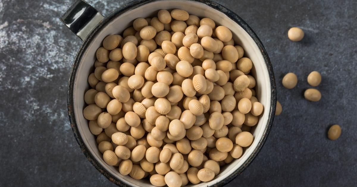 Les vérités cachées sur le soja : ami ou ennemi de notre santé ?