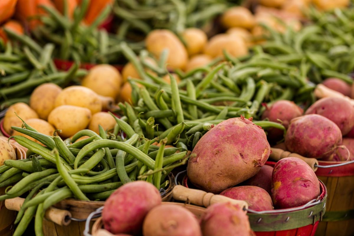Le label Green Food : un souffle nouveau pour la restauration éthique