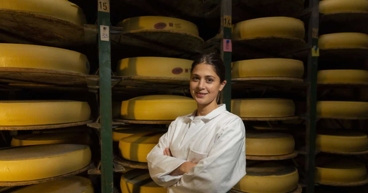 emmental : bien choisir pour sublimer vos plats