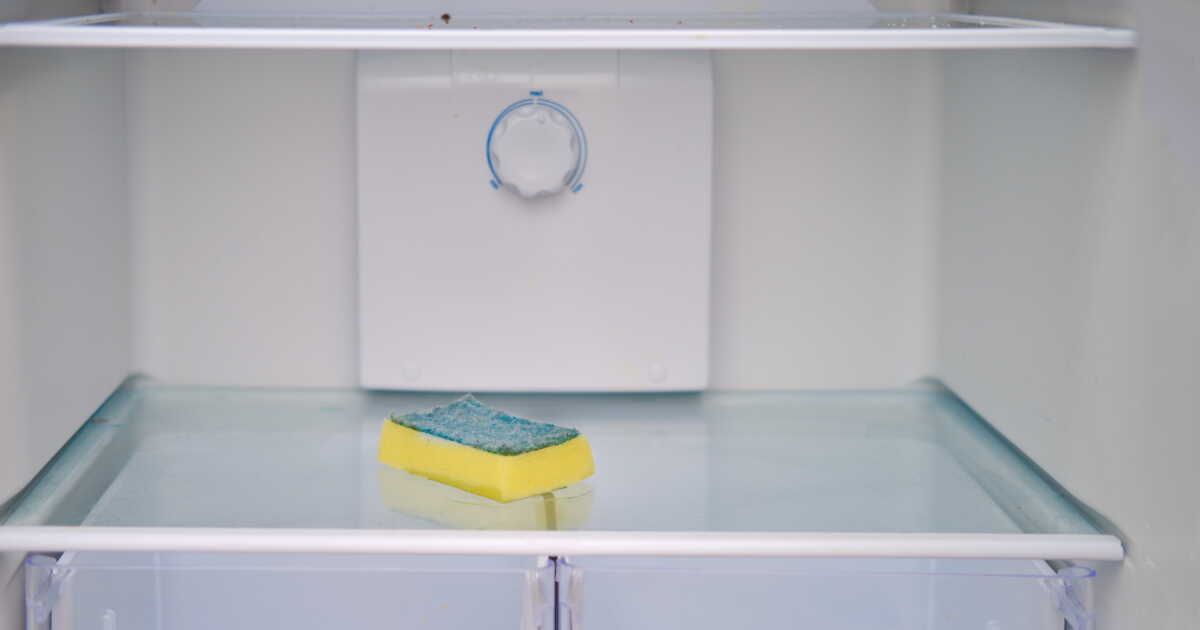 l'éponge, l'alliée inattendue pour un réfrigérateur sain