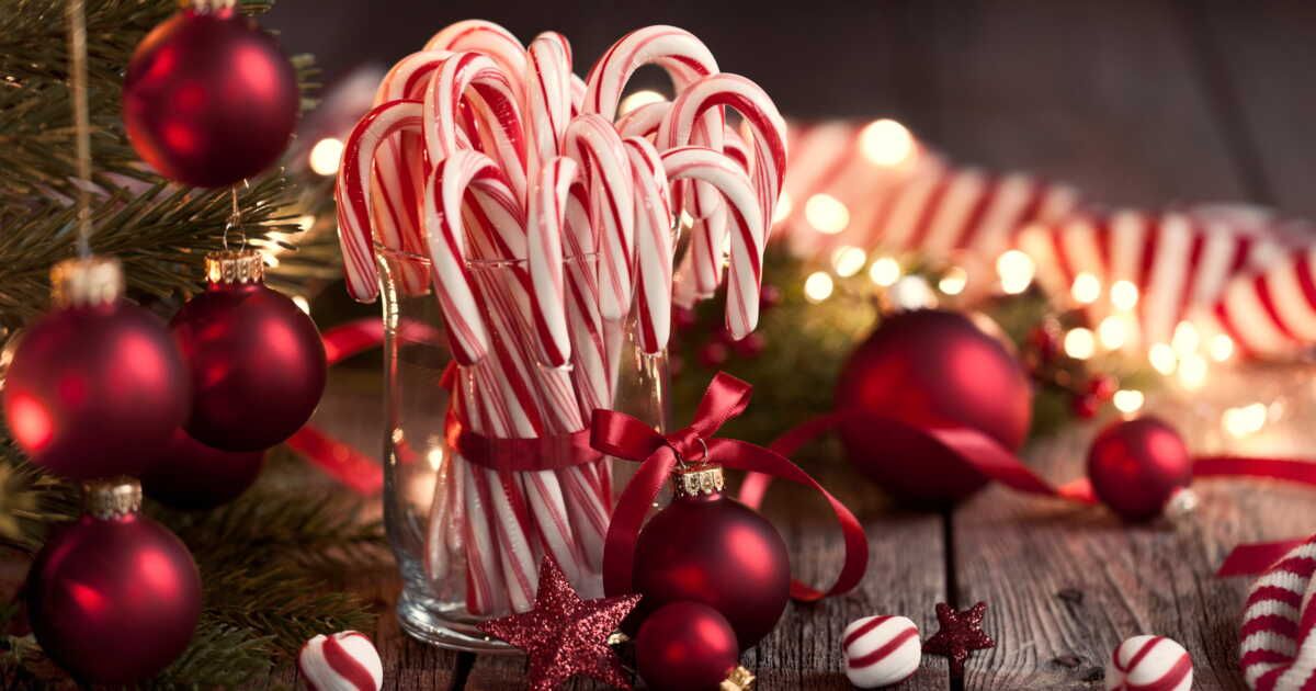 Apéro de Noël : la délicieuse recette du sucre d'orge salé au saumon et au fromage frais