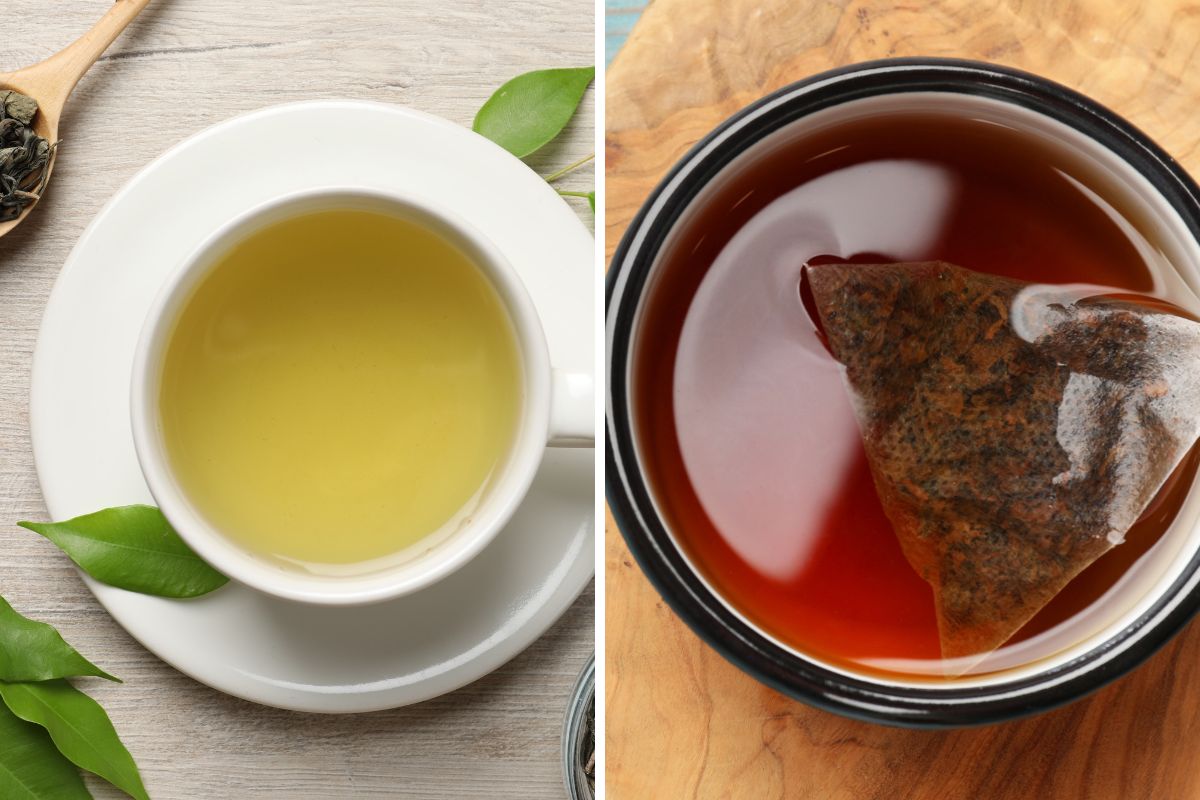 Thé vert ou thé noir : quel est le meilleur pour votre bien-être ?