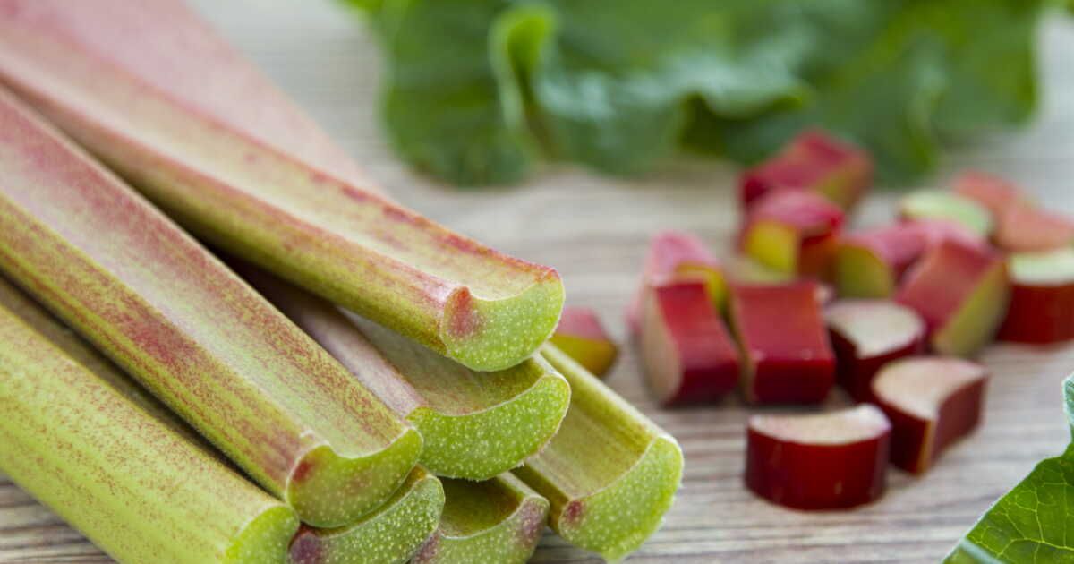 Comment bien choisir et cuisiner la rhubarbe ?