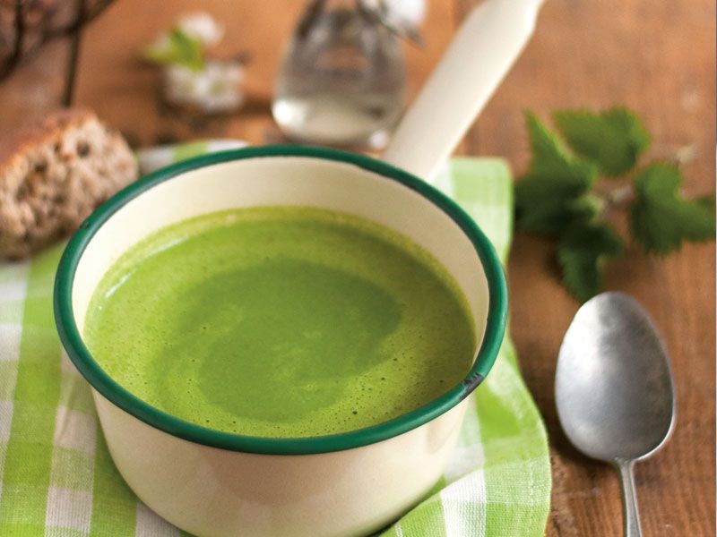 Des recettes détox délicieuses pour un corps en pleine forme