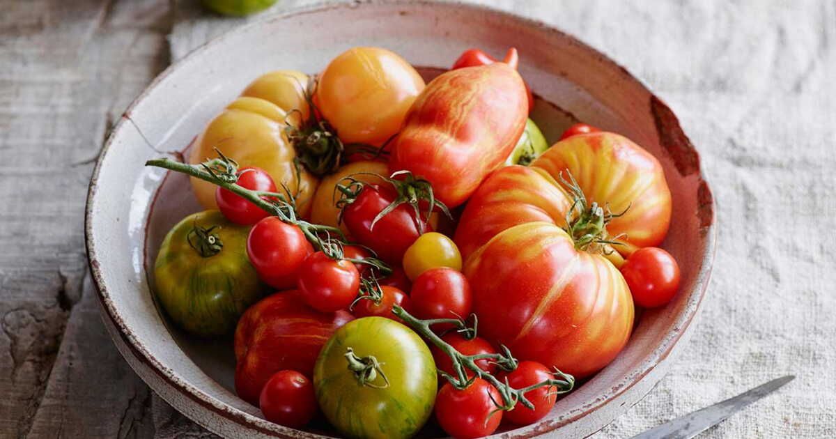 Les tomates, le trésor juteux de l'été