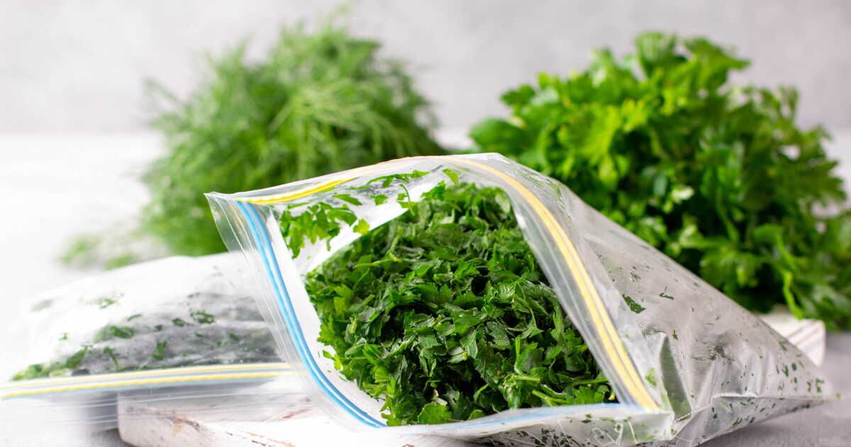 Conserver les herbes fraîches : l'astuce infaillible pour une durée prolongée