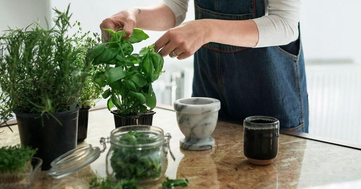 Les secrets pour cultiver des herbes aromatiques dans votre cuisine