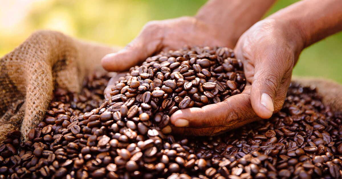 5 bonnes raisons de choisir un café engagé