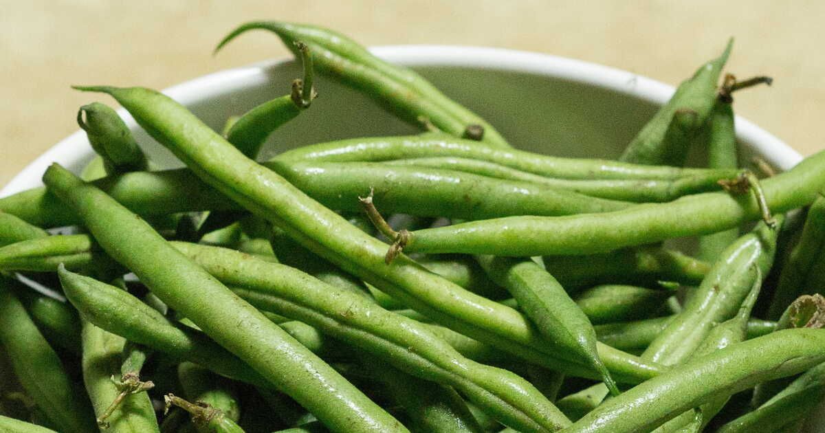 4 recettes de salades d'été irrésistibles avec des haricots verts