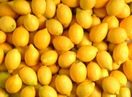 Les bienfaits insoupçonnés du citron