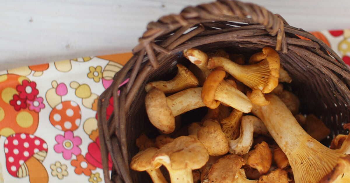 5 recettes surprenantes à base de champignons