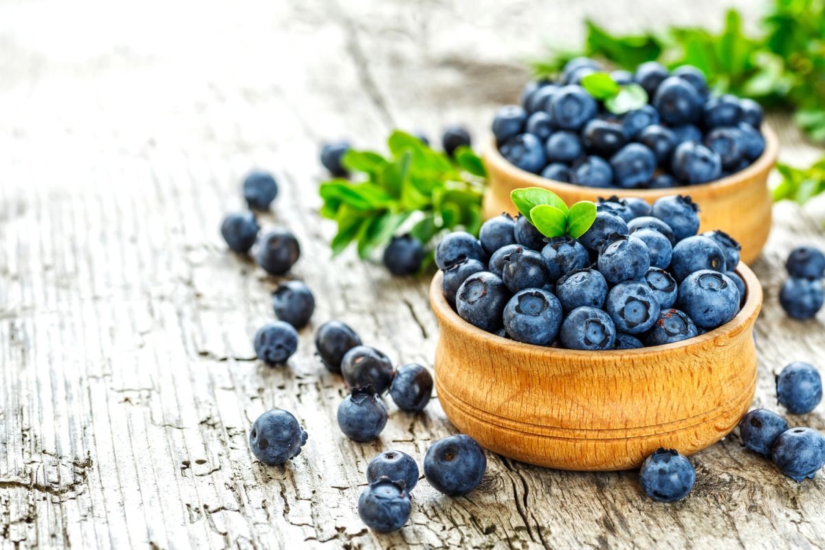 découvrez 9 recettes savoureuses pour profiter des bienfaits des myrtilles