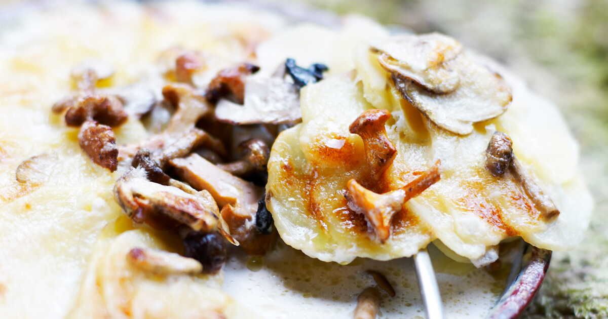 Gratin des bois : un délice réconfortant
