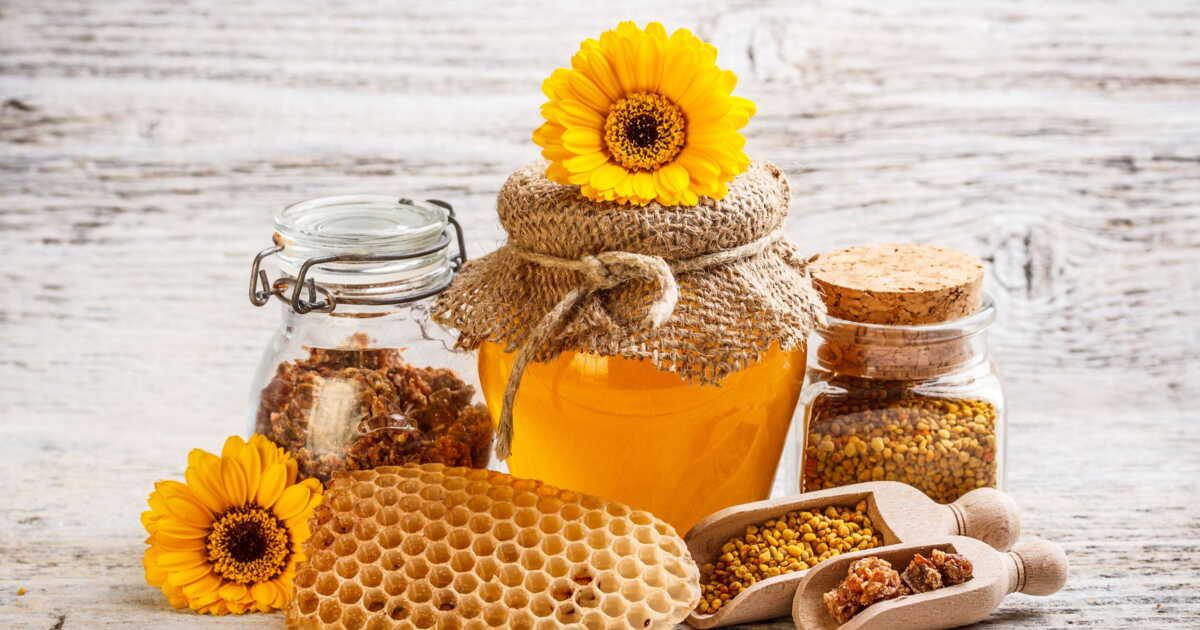 Propolis : le secret de la ruche pour fortifier votre immunité cet hiver