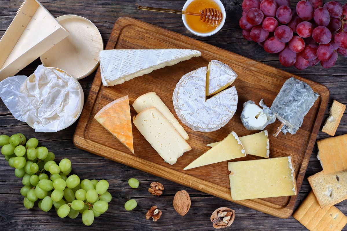 Découverte des fromages riches en protéines : un trésor nutritionnel
