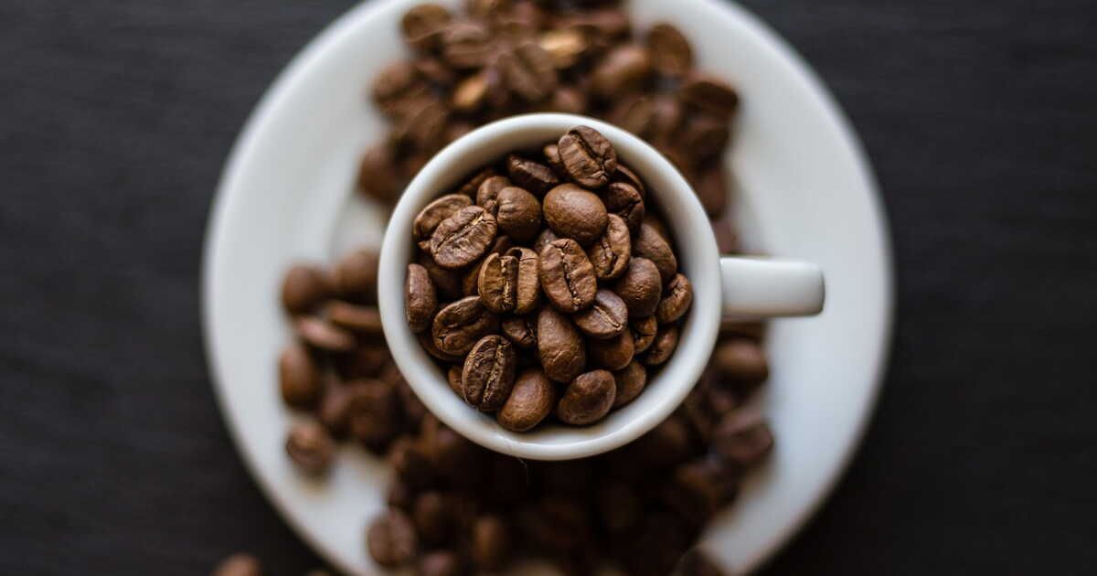 Le retour en force des broyeurs à café : nos tests révélateurs