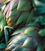 Recette vidéo : artichauts en barigoule