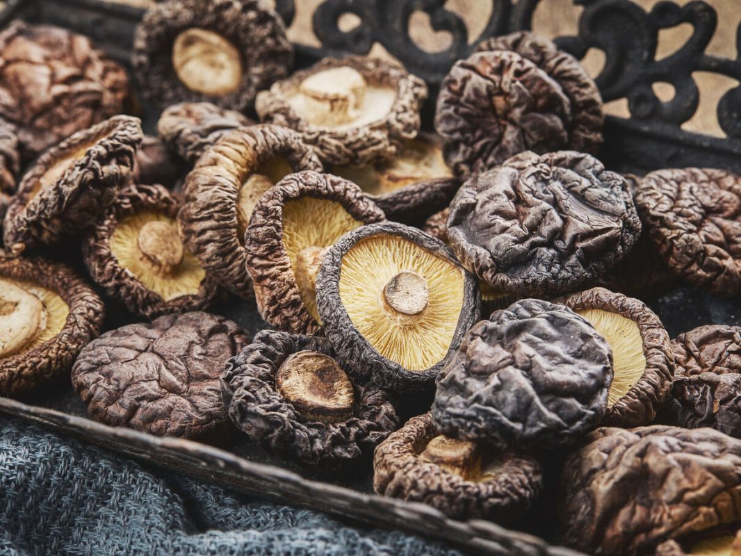 Les shiitake : attention à la cuisson, un risque de dermatite